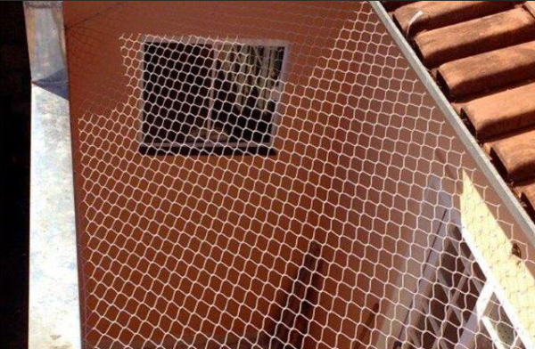Tela de proteção contra pombos - Image 3