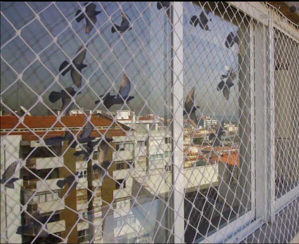 Redes Para Pombo - Image 4