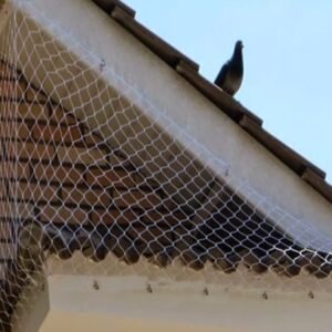 Redes Para Pombo