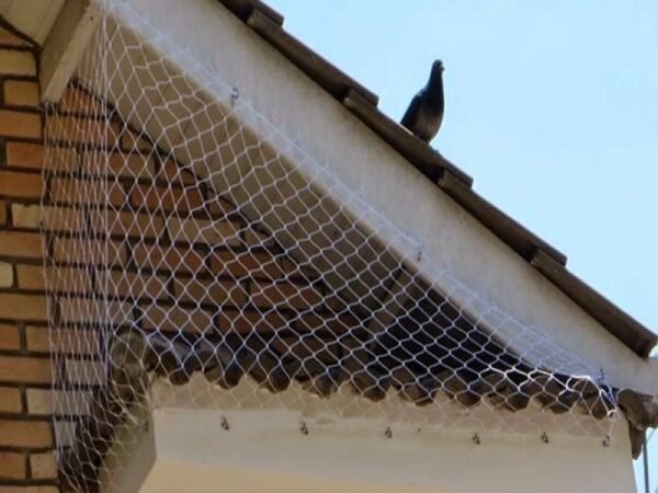 Redes Para Pombo